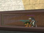 Afk_Wolf_getting_naughty_with_warder.jpg