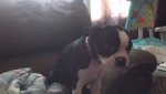 2013-03-03_10-16-35_22.jpg