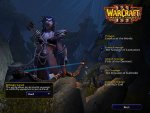 guidewc3nightelf1a.jpg