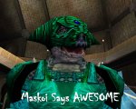 msa.jpg