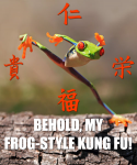behold__my_frog_style_kung_fu_by_silverkazeninja-d4pq1bb.png