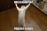 hallelujah-cat-praises-jeebus.jpg hallelujah-cat-praises-jeebus.jpg