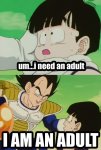 Vegeta Adult.jpg Vegeta Adult.jpg