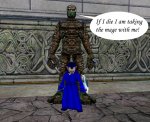 mage-pet.jpg