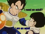 I-need-an-adult-teamfourstar.jpg