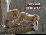 friends.jpg friends.jpg
