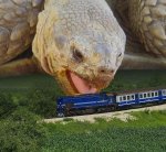 TurtleTrain.jpg TurtleTrain.jpg