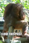 Post.jpg Post.jpg