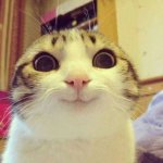 kat.jpg