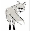 img-thing.jpg