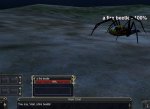 hafb.jpg