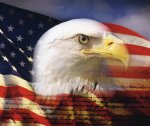 USA flag with eagle.jpg