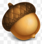 1606920243860.png 1606920243860.png