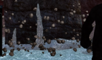 1611620501266.png