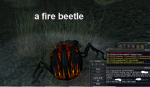hailbeetle.png