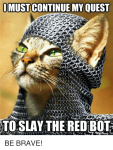 mustcontinuemyouest-toslaytherededota-be-brave-422279.png