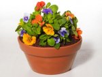 FNM_040113-Flowerpot-Cake-Recipe_s4x3.jpg.rend.sni12col.landscape.jpeg