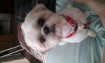 20170321_175049.jpg