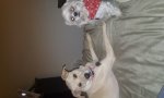 20170304_184722.jpg