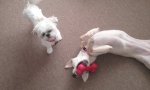 20170408_075910.jpg