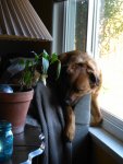 IMG_20170319_181750.jpg