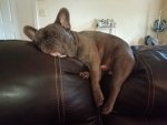 20170330_152146.jpg
