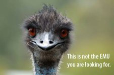 emu.jpg