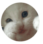 avatar.gif avatar.gif