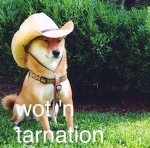 what-in-tarnation-meme-2.jpg what-in-tarnation-meme-2.jpg