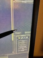 IMG_5555.jpg