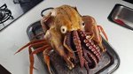 Cthulu turkey.jpeg