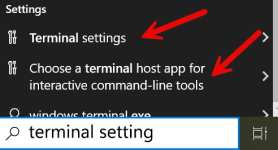 Terminal Default Settings Screenshot