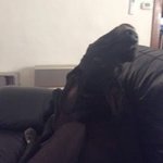RumpleUpsideDown.jpg RumpleUpsideDown.jpg