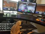 Trogdor.jpg