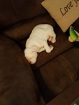 20171223_092019.jpg 20171223_092019.jpg