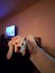20180225_183005.jpg 20180225_183005.jpg
