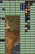 Pet Weapons.jpg