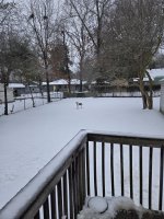 20260125_110341.jpg