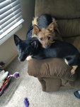 20180405_124158.jpg