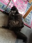 20180415_080507.jpg 20180415_080507.jpg