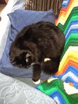 IMG_0834.JPG IMG_0834.JPG