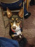 IMG_1501.JPG IMG_1501.JPG