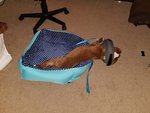 20170515_223853.jpg