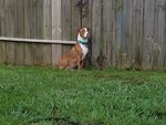 20170822_074445.jpg
