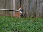 20170822_074448.jpg
