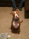 20180122_184021.jpg