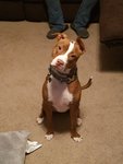 20180122_184023.jpg