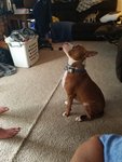 20180622_181115.jpg