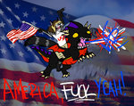 quicksilver-america-fuck-yeah.jpg