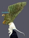 download.jpg download.jpg